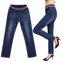 2021 Spring and Autumn New elastic band high waist straight jeans female Korean loose thin fat MM washed long pants