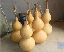 Fulu margin natural gourd base natural gourd 27cm