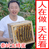 Wild soil honey Pure natural farm-grown deep mountain mature herbs Flower nectar Raw honey Peak honey winter crystal