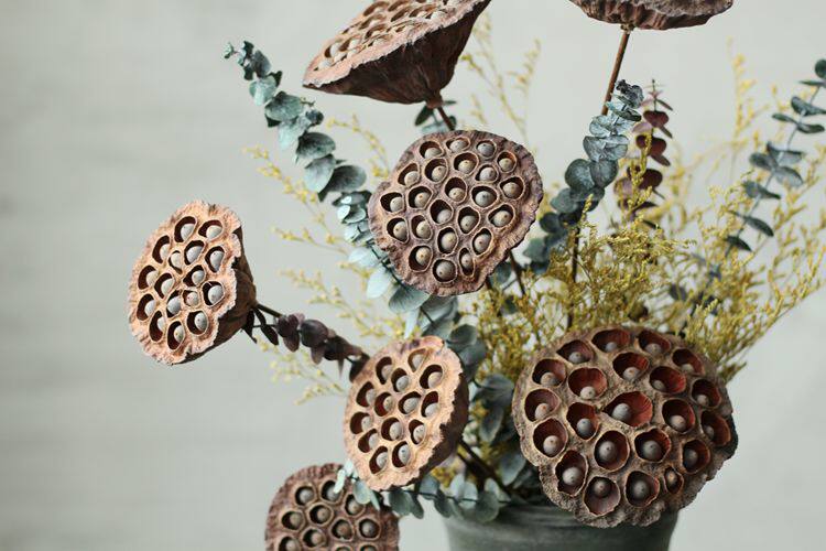 【山树】带籽莲蓬家居装饰会所摆设艺术组合干花拍摄道具天然莲蓬