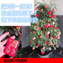 New Years Day New Years Day Mini hanging decoration hanging accessories Mall Red Wire Threading Small Red Packet Spring Tree Peach Blossom Tree Decorations