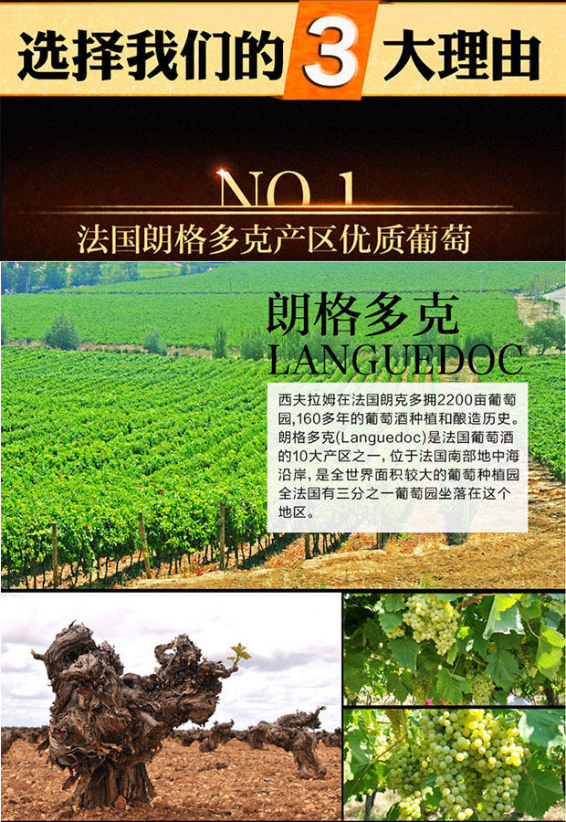 oone)喝好酒就来好酒网 白兰地 西夫拉姆法国酒基洋