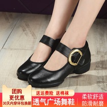 Precisely Fish Dancing Shoes Women Jazz Dance Shoes Soft Bottom Square Dance Shoes Low Heel Spring Summer New Water Soldiers Dance Shoes