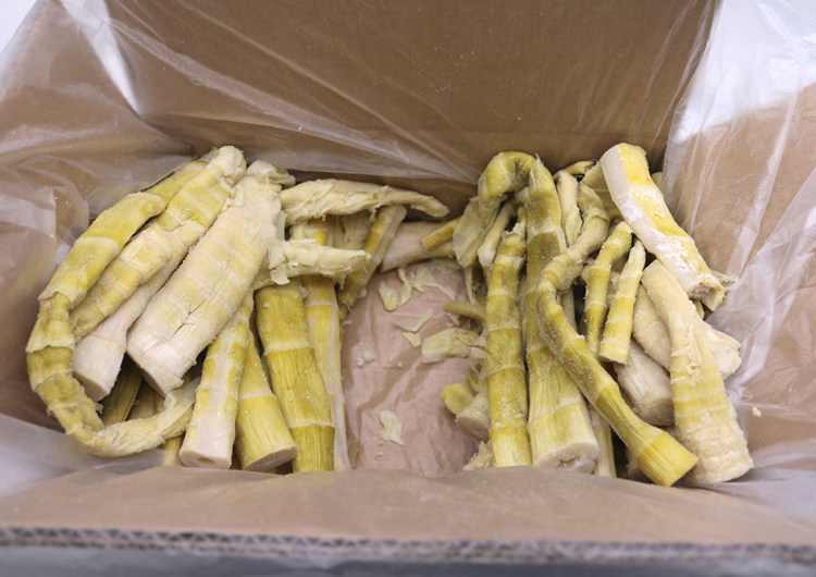 新货盐笋整箱5斤包邮临安特产野生天目盐笋干 新鲜扁尖春笋腌竹笋