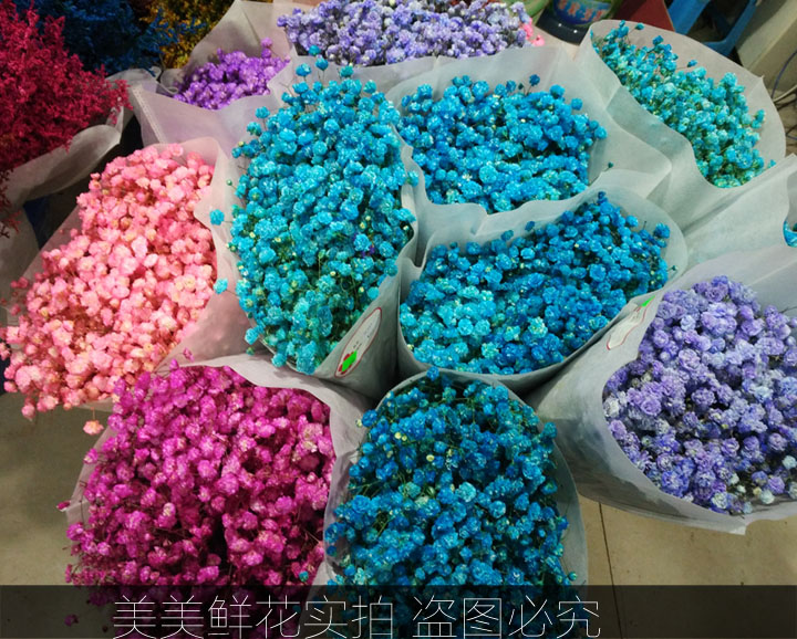 高档满天星花束 郑州同城速递 粉色蓝色紫色满天星花束礼盒送女友