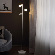 Simple modern floor lamp LED living room bedroom bedroom lamp minimalist creative art vertical sitting lamp T FS027