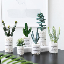 Nordic small potted ornaments cactus simulation green plant decoration desktop mini indoor womens clothing store flower plants