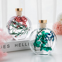 Gift Evergreen Flower Specimens Air-dried Plant Real Flowers Glass Light Dry Flower Decoration Pendulum for Girls Gift