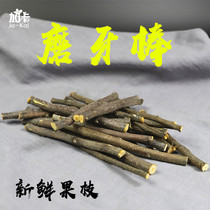 Hamster supply apple branch fruit teething rings 5 branch root buy 5 to send a 1 hamster rabbit chinchillas guinea pigs