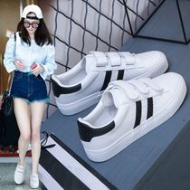 Autumn and winter hook and loop explosions small white shoes women's shoes 2021 new board shoes spring and autumn sneakers casual white shoes