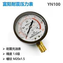 Huayi pressure gauge YN-100 Earthquake-resistant pressure gauge Hydraulic pressure gauge Hydraulic gauge High-precision seismic radial gauge Oil-filled gauge