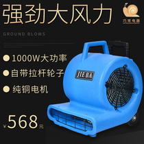 Jieba BF534 dehumidification blower blower blower dryer high-power commercial household carpet floor dryer