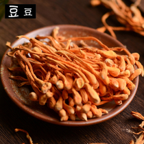 Selection of Cordyceps militaris spore head Golden worm pupa 250g Cordyceps soup stew soup