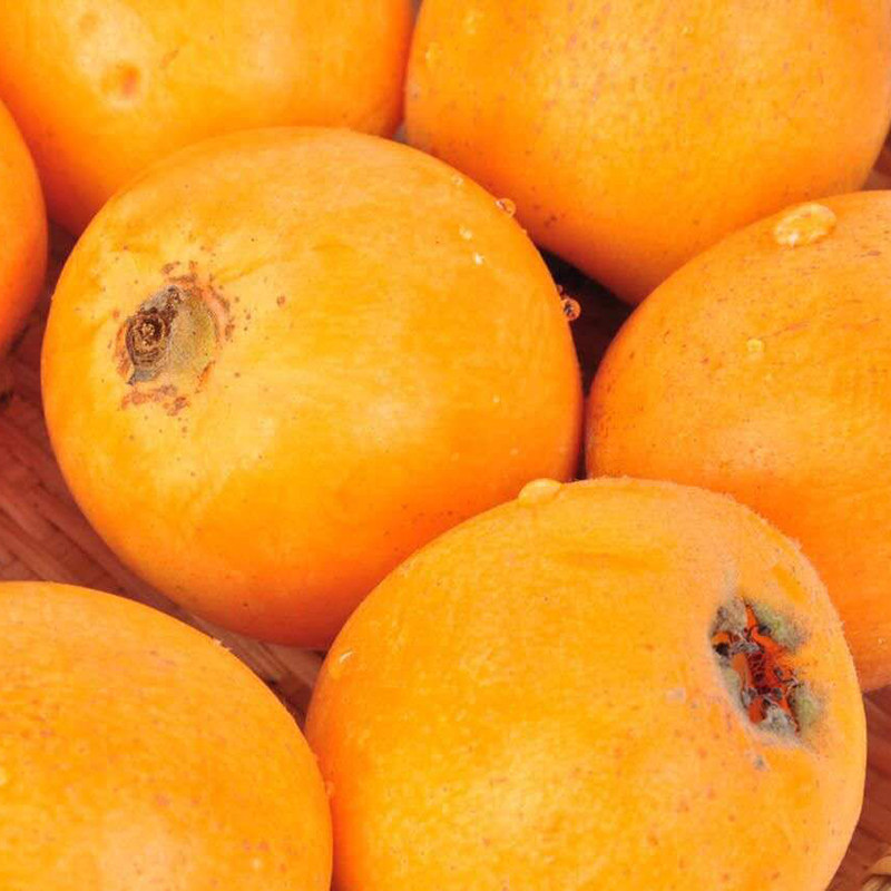 立夏吃什么 8种水果让你边吃边养生