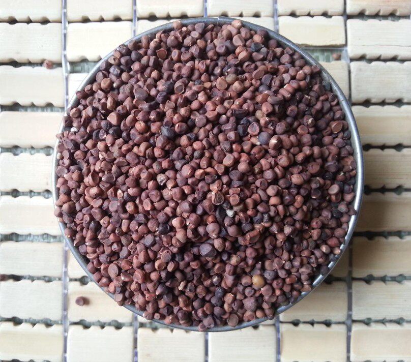 马蔺子 马兰子 庵闾子 马兰籽马莲子 马楝子 马帚子500克19元包邮