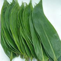 Fresh zongcotyledons Wild big zongye leaves Natural dumplings leaves vacuum-loaded new leaves non-dried zongleaves send ropes free of mail