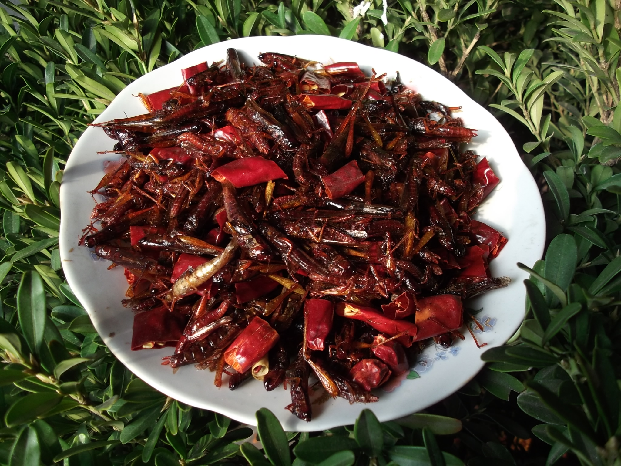 开袋即食油炸蚂蚱香酥昆虫野生蝗虫土蚂蚱沂蒙特产现炸现发下酒菜