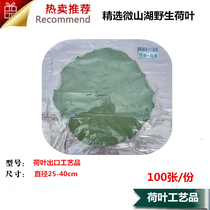 Lotus leaf crafts dry lotus leaf products diameter 25-40cm export Japan Bon lotus leaf Jewelry