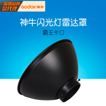 Shenniu 250W Small pioneer flash radome