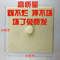Special cover plate for plaster painted plaster paint mold