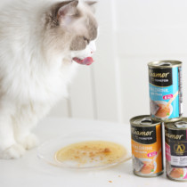 One meats German miamor Miami to raise and quench your thirst tonic water Cat Kitty Drink 6 9 Gift Boxes