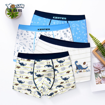 Boys underwear Plain cotton pants 10 Large childrens underpants 13 Childrens 12-15 years old boys shorts boxers
