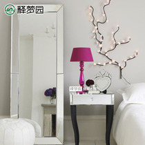 Floor mirror decorative mirror porch mirror full-length mirror dressing mirror dressing mirror clothing store mirror M0337