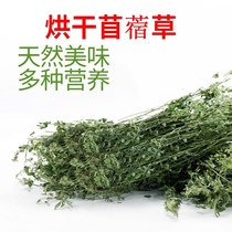 Rabbit pasture alfalfa drying grass Timothy grass rabbit barley hay Hay