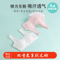 Girlshair birth vests vest primary school students underwear 9-12 years of adolescence CUHK children without steel ring bra thin