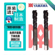 Hyamawa plated cobalt works lengthened spiral wire tapping G PF1 8-281 4-193 81 81 2-143 4