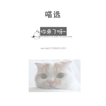 Meow choose) freight make-up