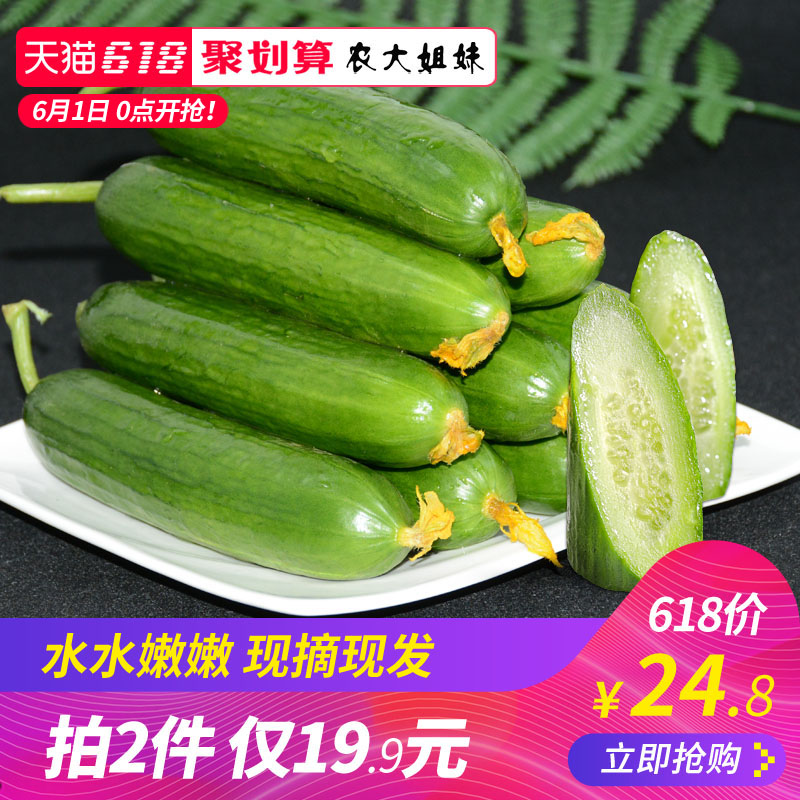 农大姐妹 新鲜荷兰水果黄瓜4斤（拍2件）