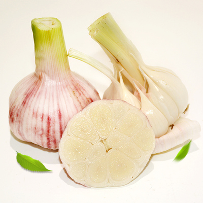 2018山东新鲜大蒜头现挖大蒜鲜蒜新鲜蒜头可