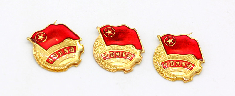 [中国共青团团徽团员胸章胸徽团章安别针全款金属小徽章10枚装批发] 