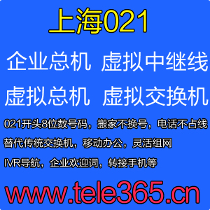 上海企业总机 集团总机 虚拟固话 021企业虚拟