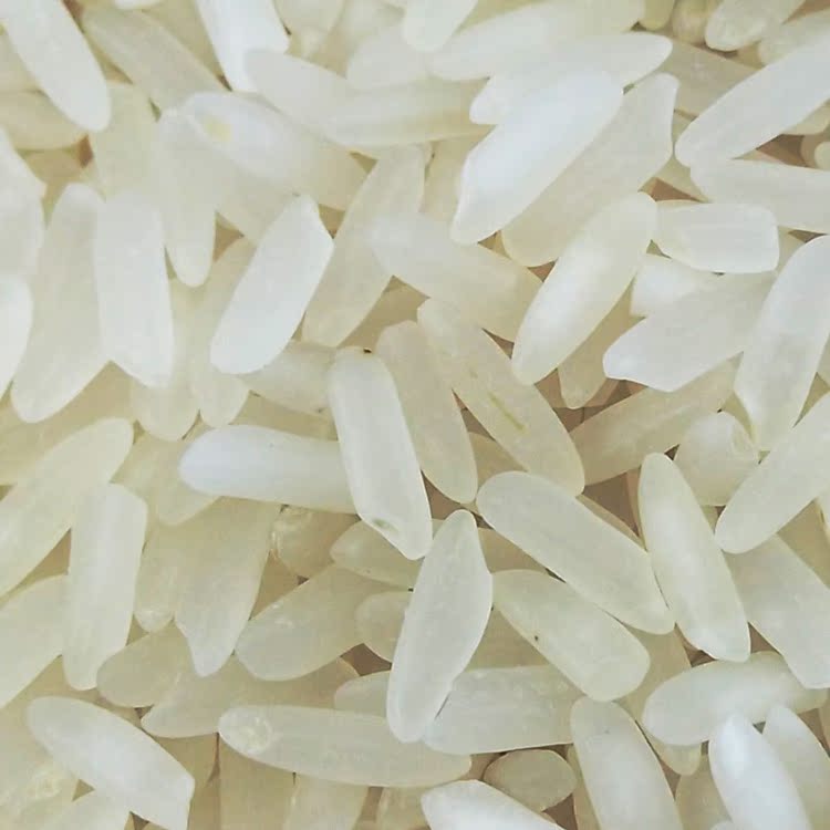 长粒香米 东北五常大米 1斤真空包装 特价5袋包邮