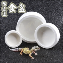 High quality small climbing reptile Climbing Wormhouse Spider snake exclusive use of ceramic basin water basin