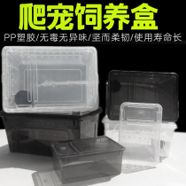 Pet Rearing Cartridges Air Vents Reptile Suitcases Spider Scorpion Patron Lizard Lizard Corner Frog Turtle Rearing Box