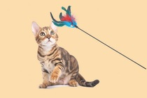 Cat toy tease stick cat Rod feather cat Rod feather cat stick Bell cat stick with Bell