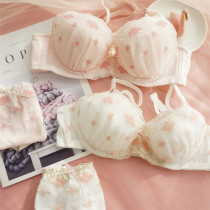 Day Ensemble Embroidered Sweet Girl Thin Cups Bra Comfort Upper with steel ring lingerie Breathable Lace Big Code Bra