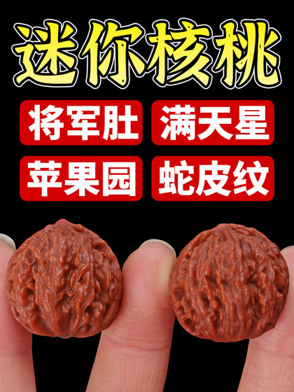 Wenwan 호두 작은 손 트위스트 가을 어린이 작은 손 핸들 미니 호두 놀이 손가락 남자 손 놀이 Wenwan 호두 작은 손 트위스트 가을 어린이 작은 손 핸들 미니 호두 놀이 손가락 남자 손 놀이