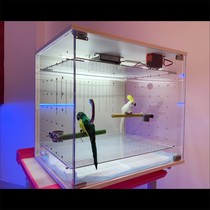 Parrot Incubator Smart Thermostatic Wind Warm Xuan Peony Young Bird Rearing Chicks Rearing Honey Bag Luding Chicken Insulation