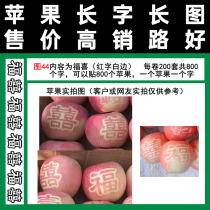Figure 44 Fuhe Xi Zi Chenshi fruit is covered with red Fuji bags and used tape