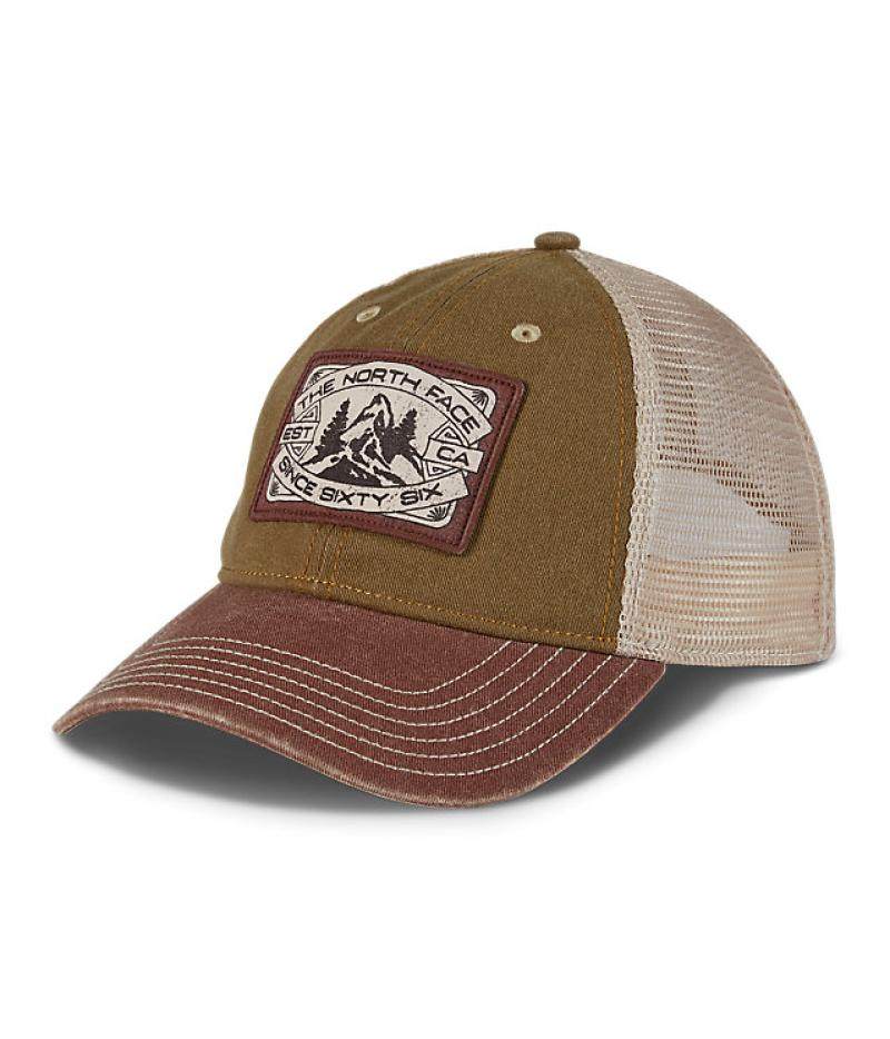 bronx brown/brandy brown