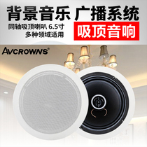 AVCROWNS Crown A4 ceiling coaxial speaker Indoor ceiling embedded radio shop background music speaker