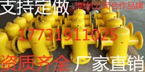 Natural gas filter pipeline gas gas liquefied gas propane biogas petroleum gas filter gas filter