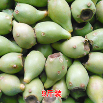 Wild cactus fruit fresh fruit prickly pear specialty green skin medium big fruit 9 catties