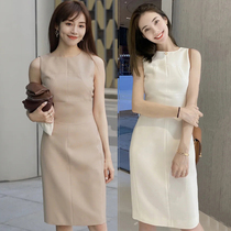 2022 Spring high - end fine sleeve - collar pure dress female long skirt slim career fashion dress