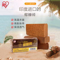 IRIS coconut brick cultivation matrix Coconut bran brick fertilizer Coconut shell Coconut seed nutrient soil fleshy coconut brick