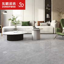 Dongpeng tile Keynesian grey minimalist modern living room through body marble floor brick rock plate 750x1500 tile